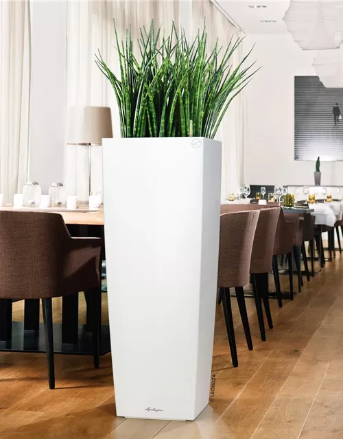 LECHUZA CUBICO Alto Premium