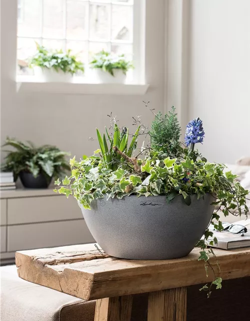 LECHUZA Pflanzschale CUBETO Stone 40 