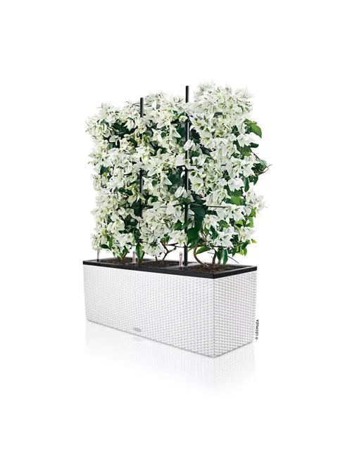 LECHUZA TRIO Cottage 40 