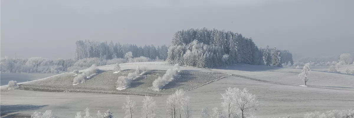Winterlandschaft