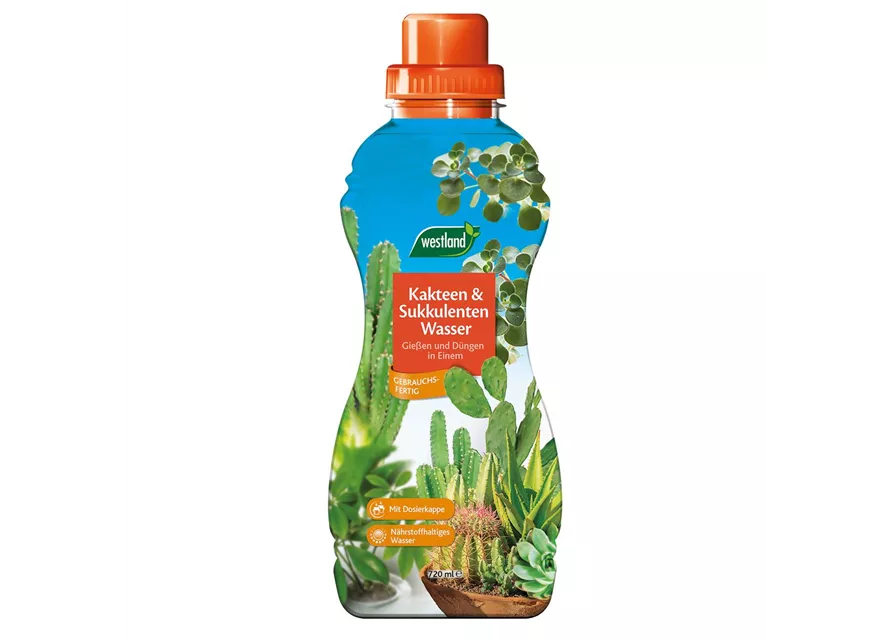 Westland Kakteen & Sukkulentenwasser 720 ml