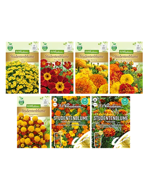 Saatgut Set 'Tagetes' 