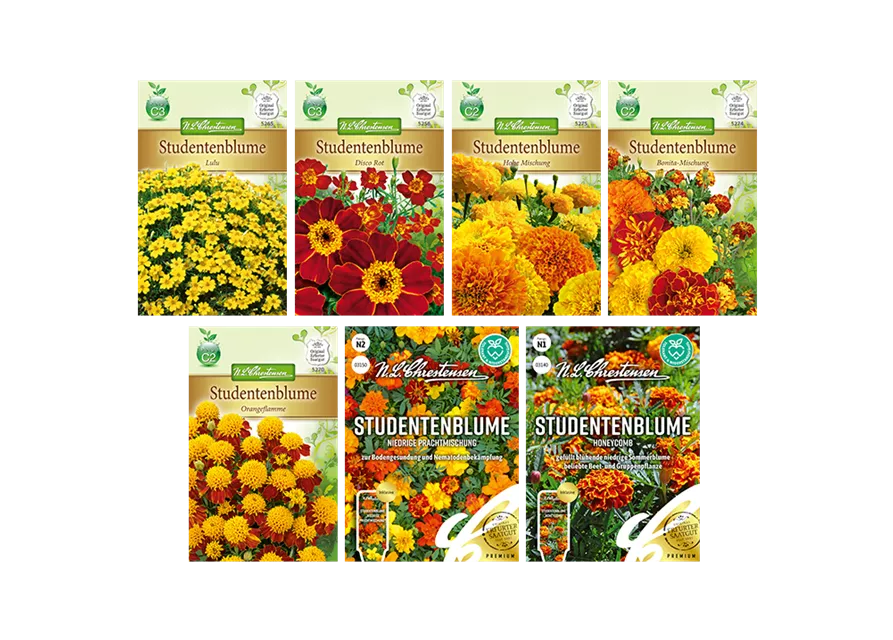 Saatgut Set 'Tagetes' 