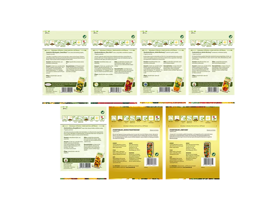 Saatgut Set 'Tagetes' 