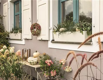 LECHUZA BALCONERA Color 80 