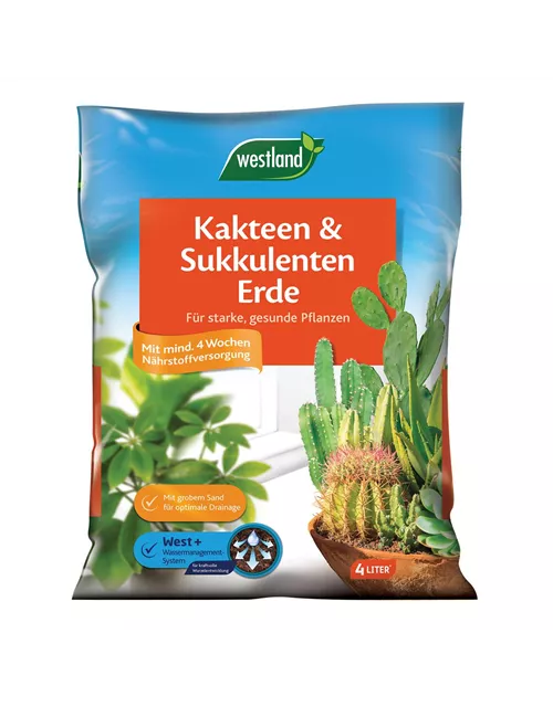 Westland Kakteen-&Sukkulentenerde 4 l