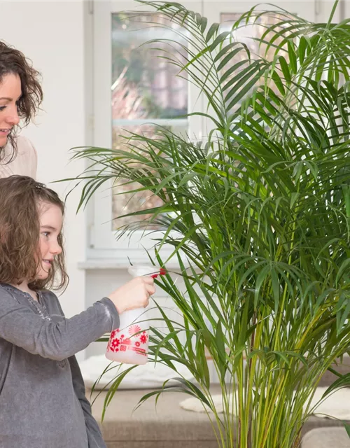 Birchmeier Handsprühgerät 'Sunlution 360°' 0,5 l