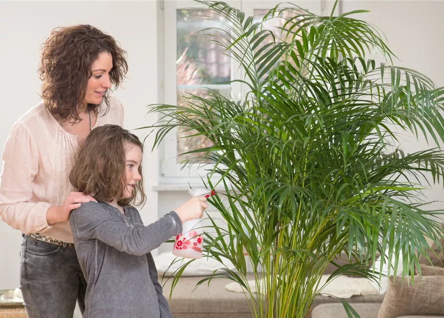 Birchmeier Handsprühgerät 'Sunlution 360°' 0,5 l