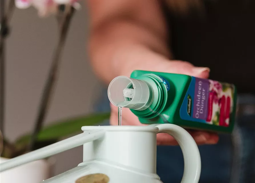 Westland Orchideen Dünger 200 ml