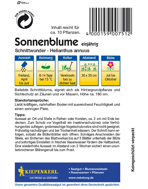 Sonnenblume 'Schnittwunder'