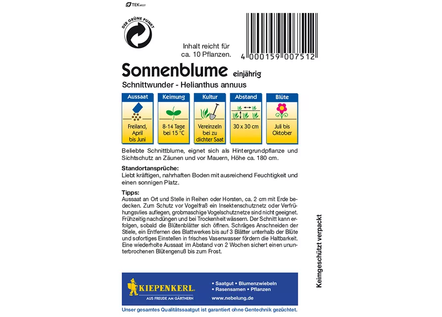 Sonnenblume 'Schnittwunder'