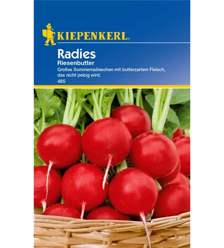 Radieschen 'Riesenbutter'