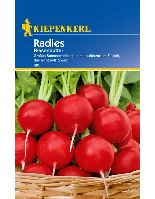 Radieschen 'Riesenbutter'