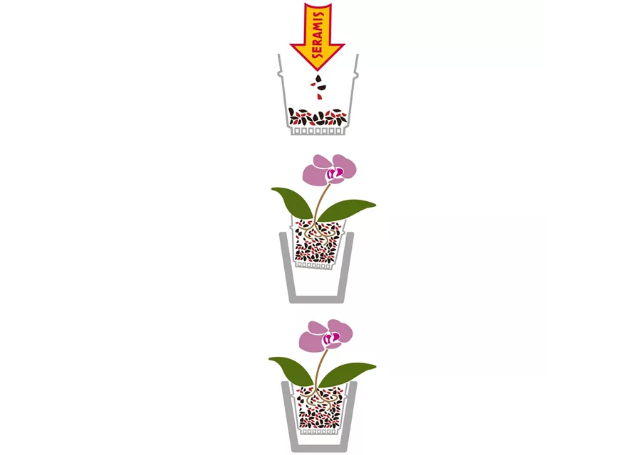 Seramis Orchideen Spezial-Substrat