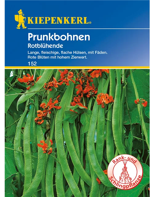 Prunkbohne 'Rotblühende'