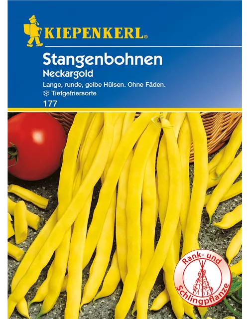 Stangen-Bohne 'Neckargold'
