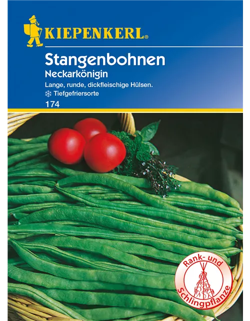 Stangen-Bohne 'Neckarkönigin'