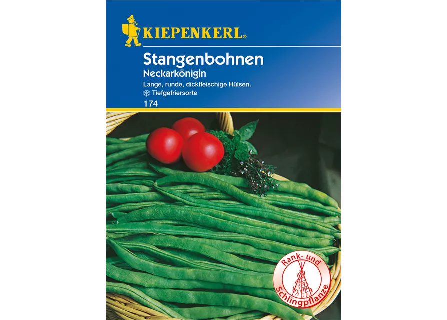 Stangen-Bohne 'Neckarkönigin'
