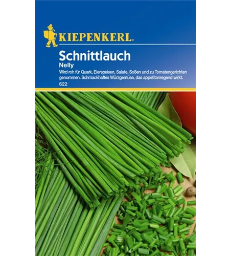 Schnittlauch 'Nelly'