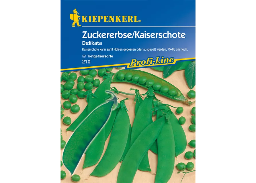Zuckererbse 'Delikata'