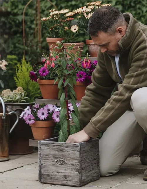 Westland "New Horizon" torffreie Blumenerde 40 l