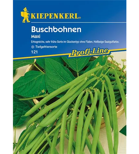 Busch-Bohne 'Maxi'