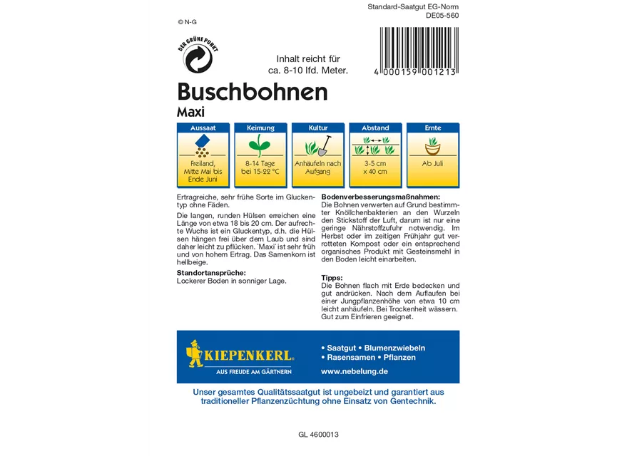 Busch-Bohne 'Maxi'