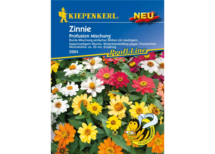 Haage-Zinnie 'Profusion'