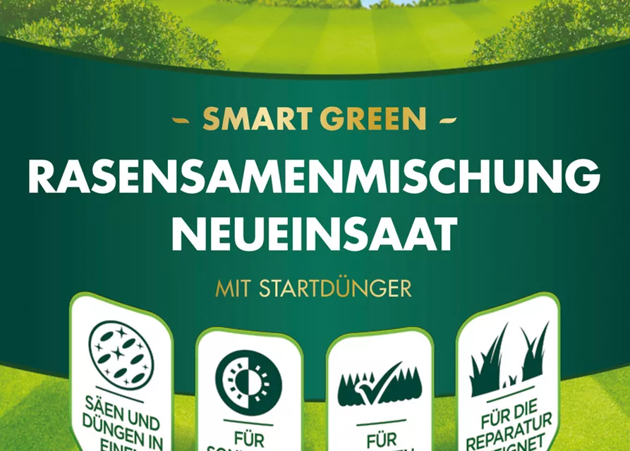 Westland Rasensamenmischung Neueinsaat "Smart Green"