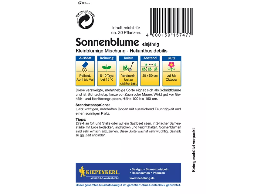 Sonnenblume 'Kleinblumige Mischung'