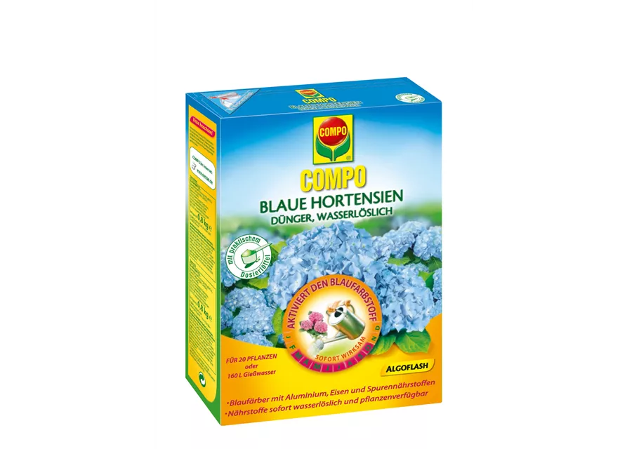 Compo Blaue Hortensien 