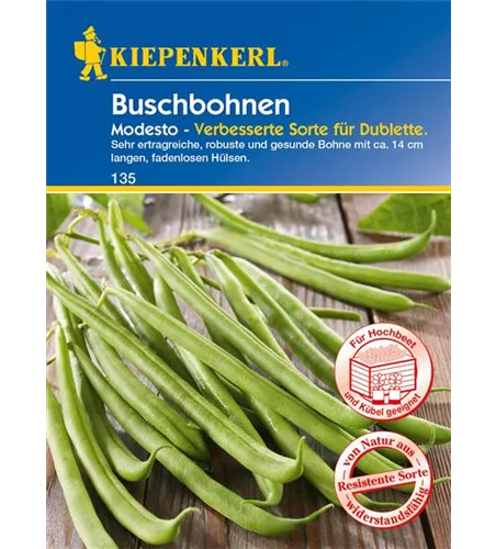 Buschbohne 'Modesto'