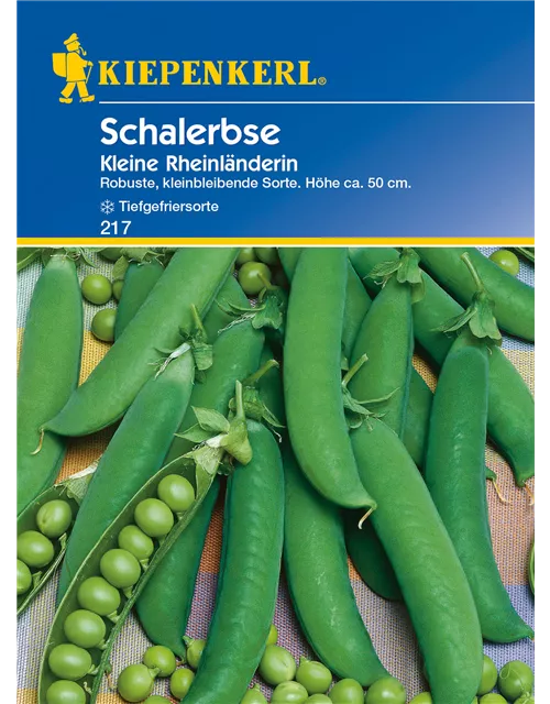 Schal-Erbse 'Kleine Rheinländerin'