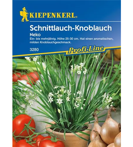 Schnittknoblauch 'Neko'