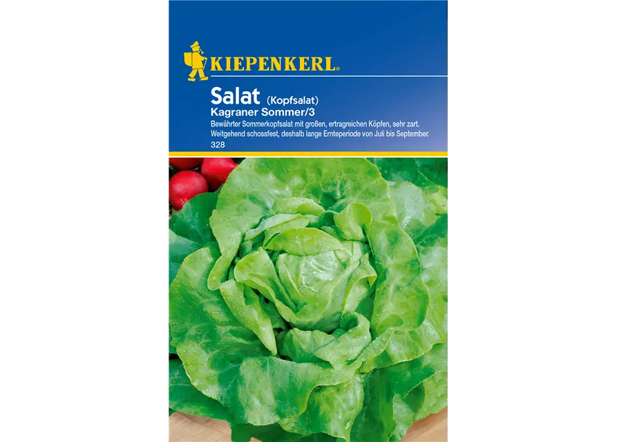 Kopfsalat 'Kagraner Sommer 2'