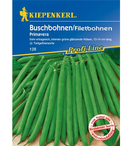 Busch-Bohne 'Primavera'