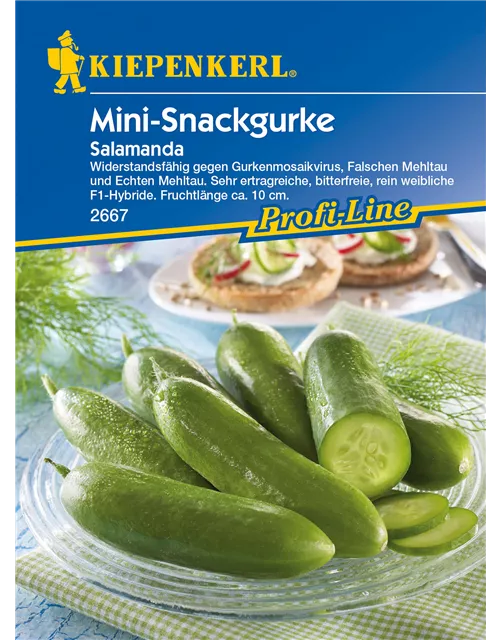 Mini-Snackgurke 'Salamanda F1'