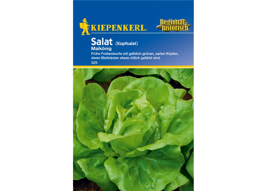 Kopfsalat 'May King'