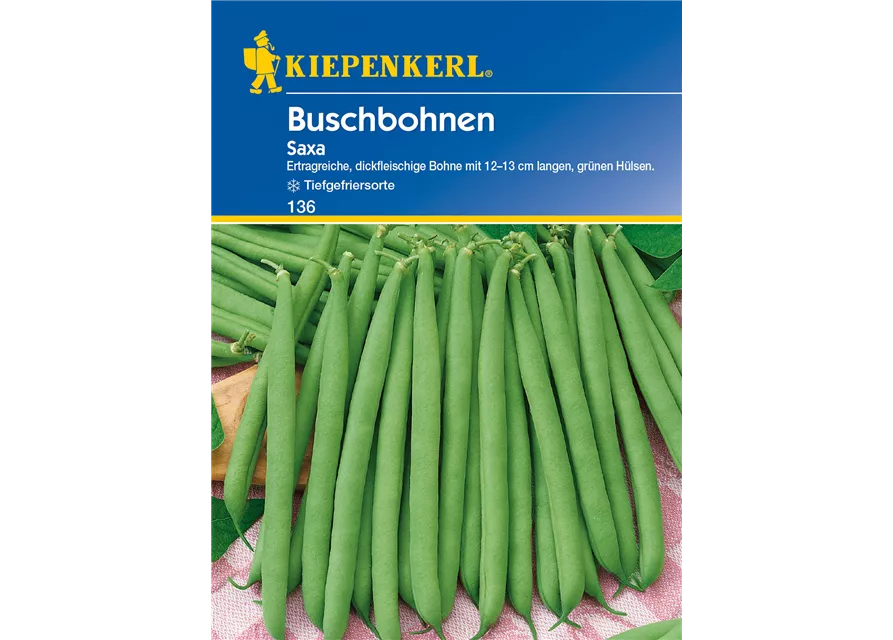 Busch-Bohne 'Saxa'