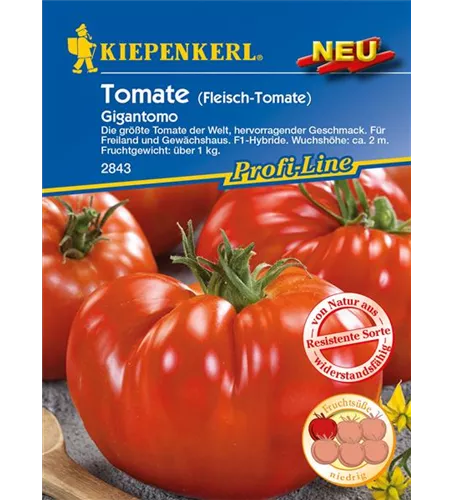Fleischtomate 'Gigantomo F1'