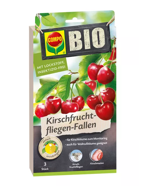 Compo BIO Kirschfruchtfliegen-Falle 
