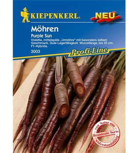 Möhre 'Purple Sun'