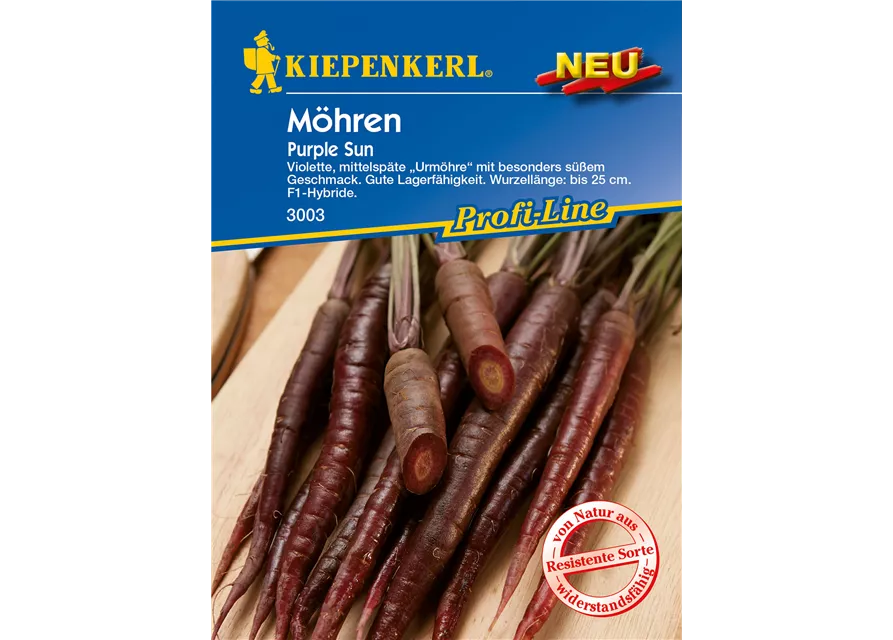 Möhre 'Purple Sun'