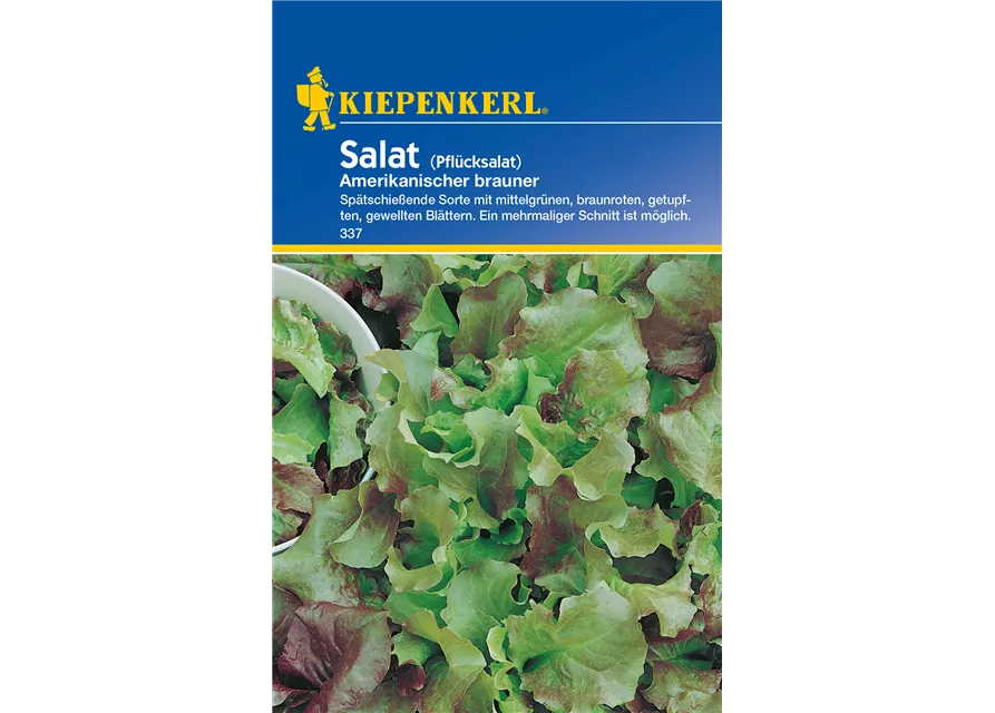 Pflücksalat 'Amerikanischer Brauner'