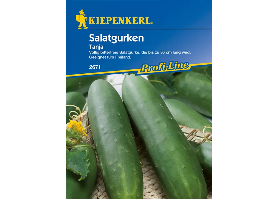 Gurke 'Tanja'