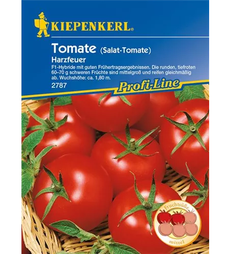 Tomate 'Harzfeuer F1'