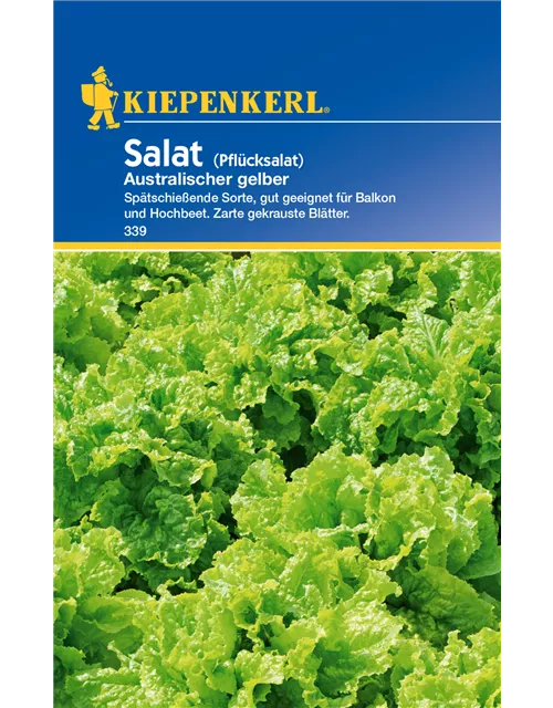 Pflücksalat 'Australische Gele'