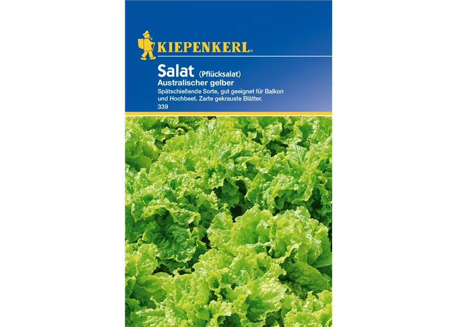 Pflücksalat 'Australische Gele'