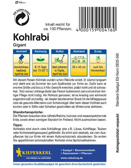Kohlrabi 'Gigant'