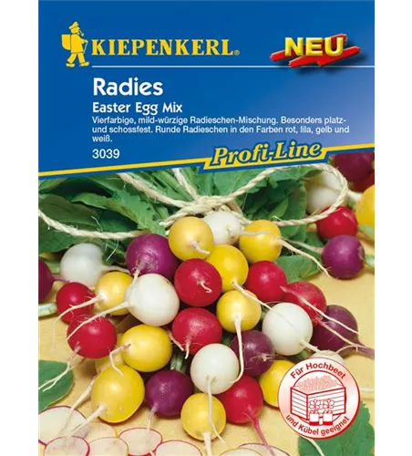 Radieschen 'Easter Egg'